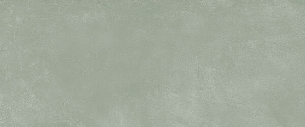 25X60 PAPER SALVIA (10PZ)