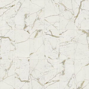 59X118 RTT / LPP VISION STATUARIO GOLD