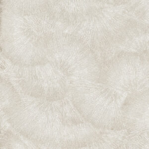 60X120 RESINE DEC.VENTAGLIO PLATINO